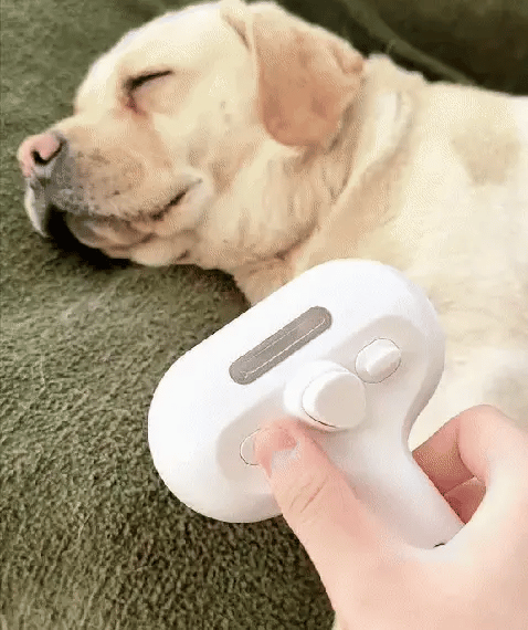 The Ultimate 3-in-1 Pet Steamy Grooming Brush 🐶
