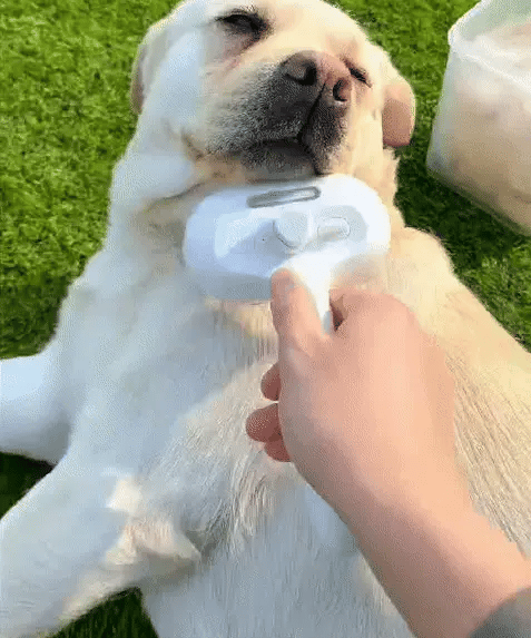 The Ultimate 3-in-1 Pet Steamy Grooming Brush 🐶