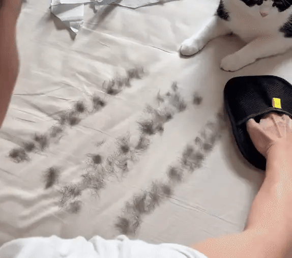 Fur-Free™ Pet Hair Removal Glove